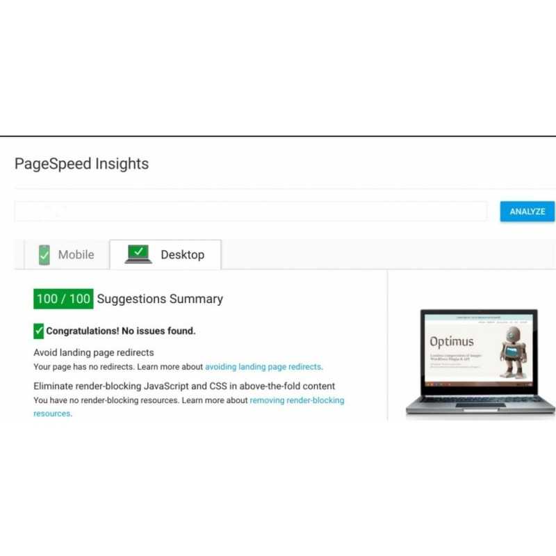 PageSpeed Insights Module PrestaShop