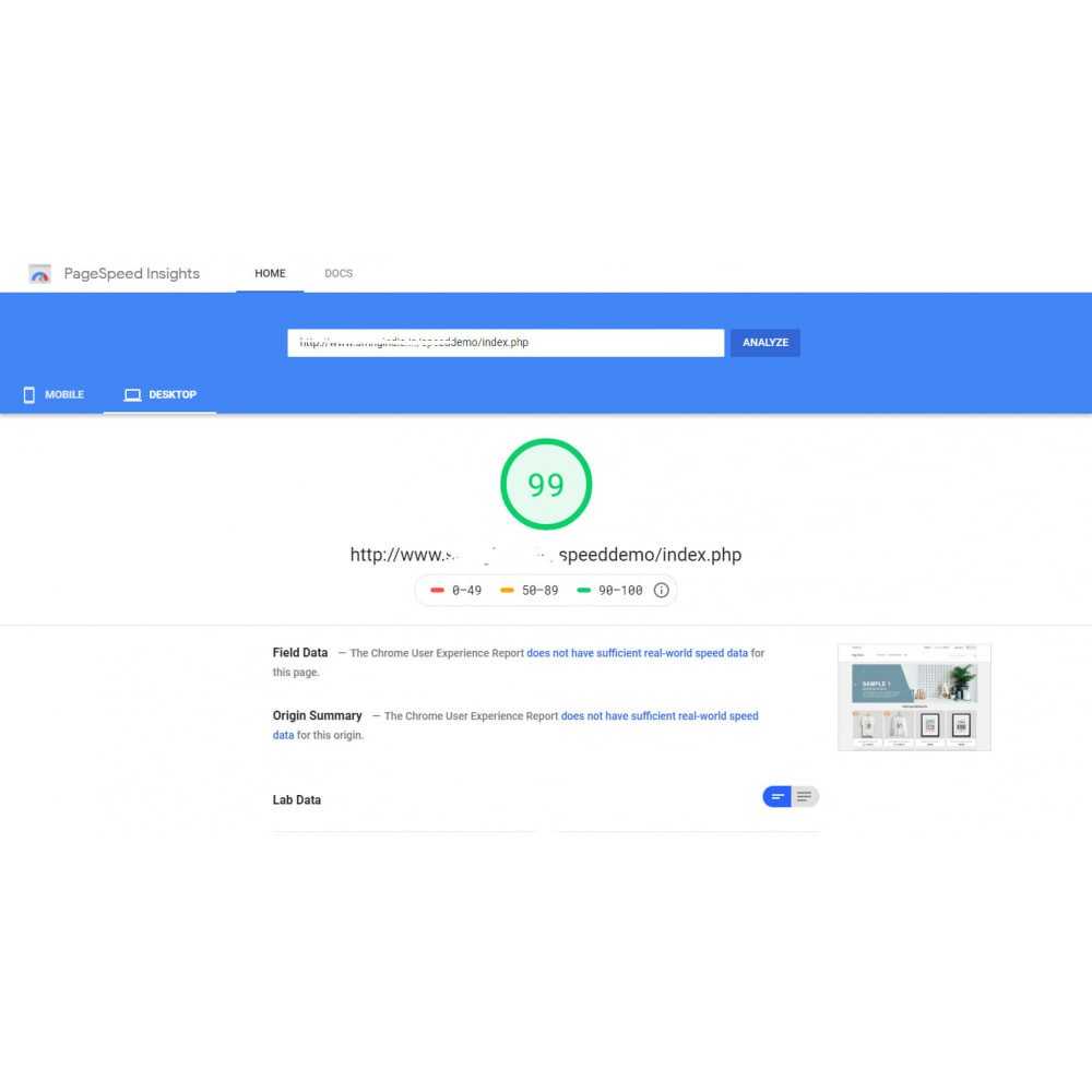 Google PageSpeed Insight score