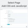 Add jQuery Custom CSS and JS