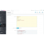 Add Custom CSS and JS