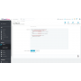 Custom CSS and JS frontend