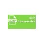 GZIP Compression Module PrestaShop