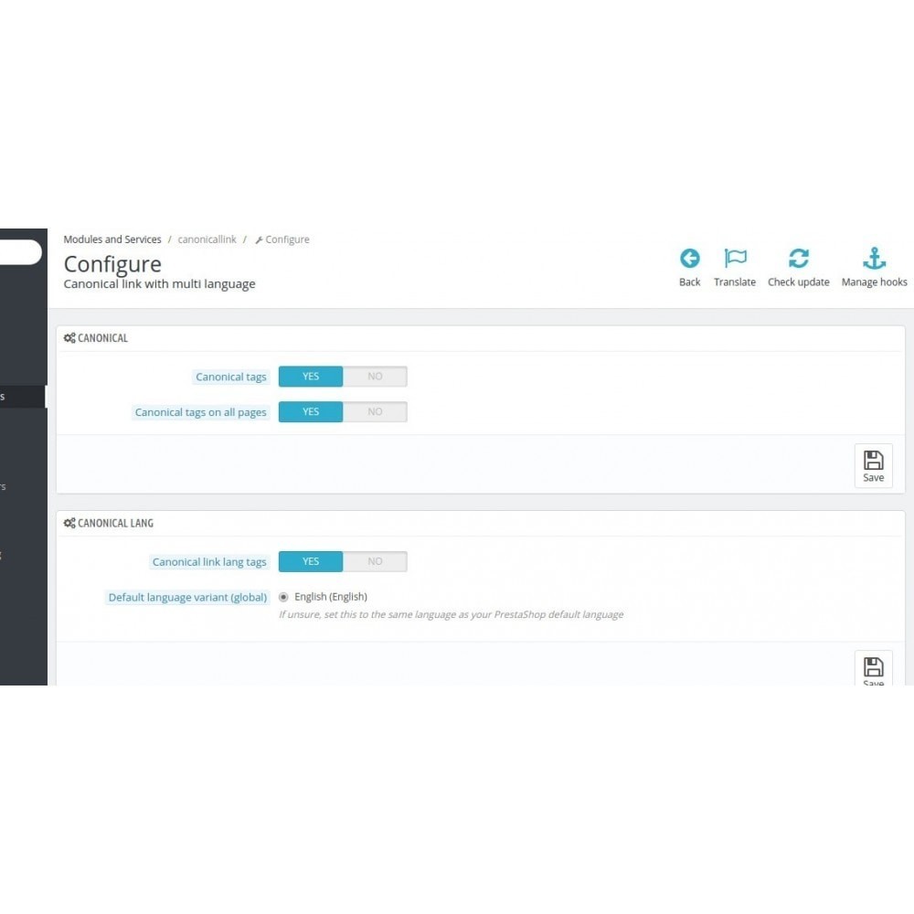 SEO Google Hreflang & Canonical Tags on All Pages