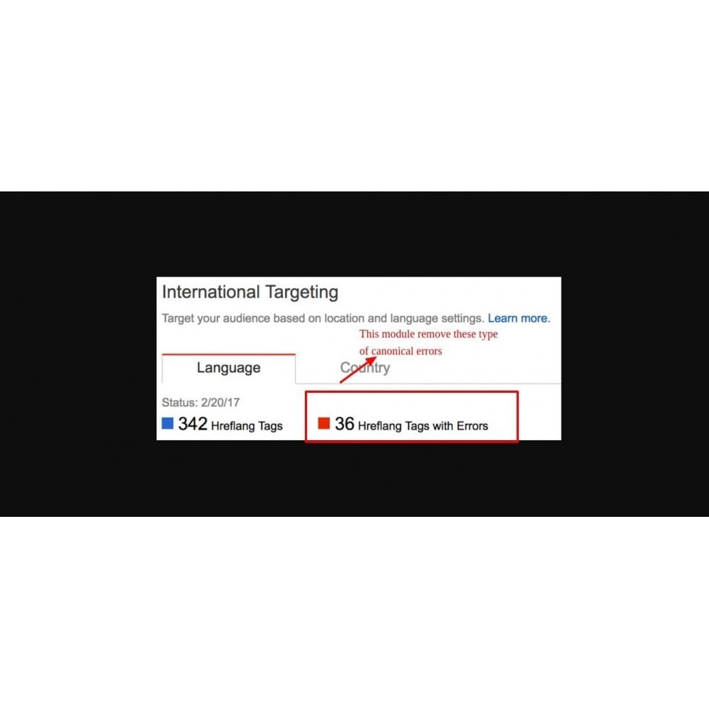 SEO Google Hreflang & Canonical Tags on All Pages