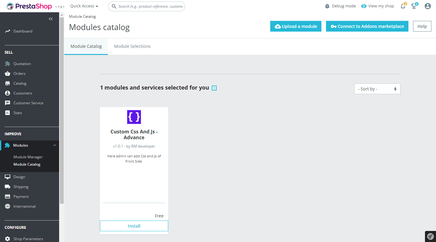 Custom CSS and JS Install Custom CSS and JS Install
